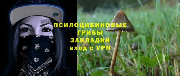 мяу мяу мука Абдулино