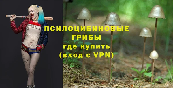 винт Абинск