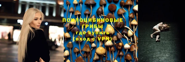 ПСИЛОЦИБИНОВЫЕ ГРИБЫ Абаза